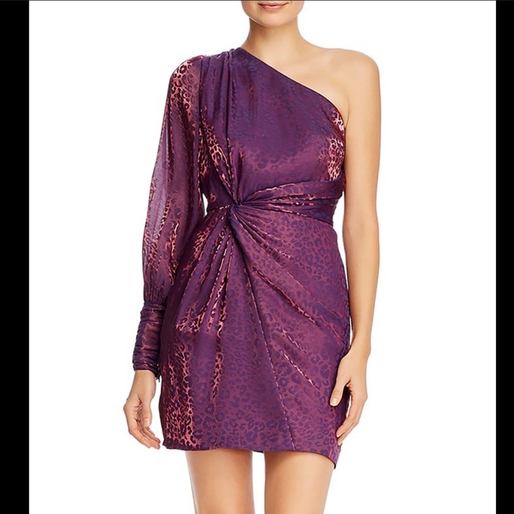 Rachel Zoe Purple One Sleeve Dress